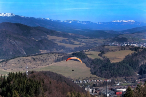 55887622 2200665839979556 1382932181722071040 n