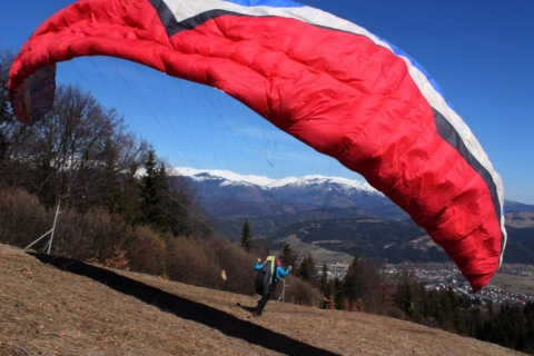 56436496 2200666973312776 3481222068882636800 n