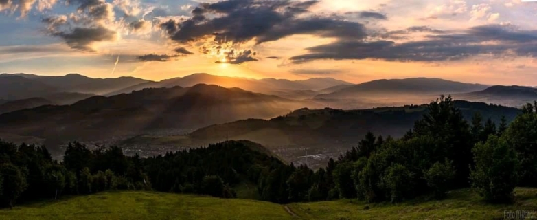 FB IMG 16240172005962059